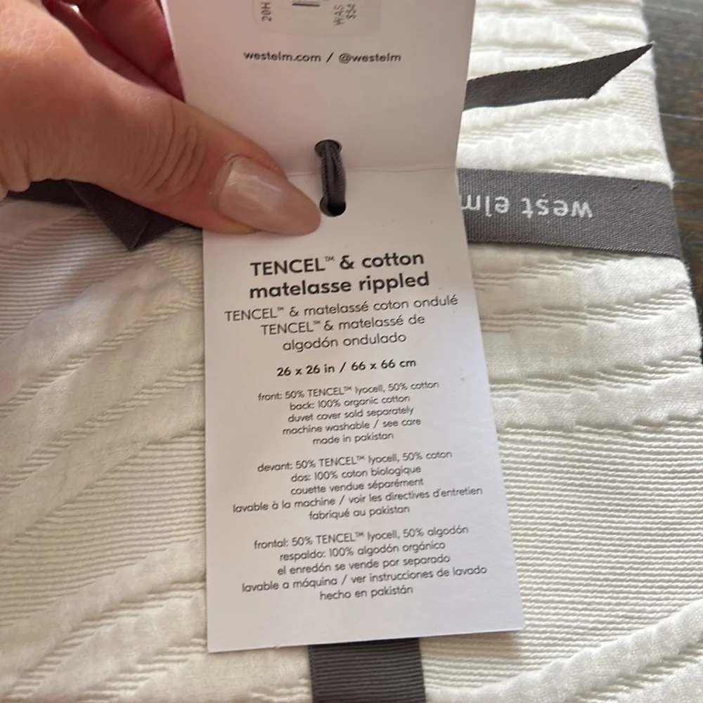 West Elm Rippled Tencel Cotton Matelasse Euro Shams, Stone White